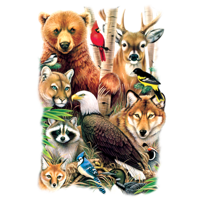 A Magic North America Kid's T-shirt