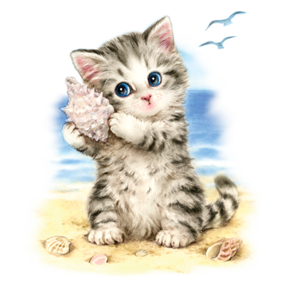 Sea Shell Kitten Youth