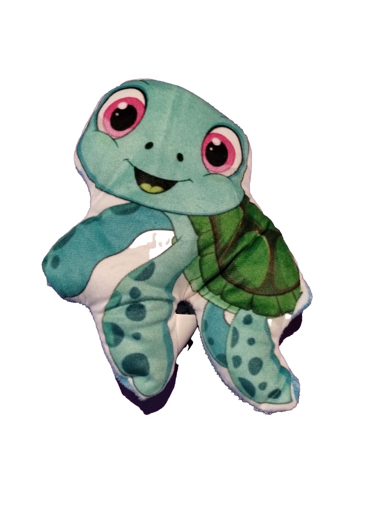 Turtle Pals