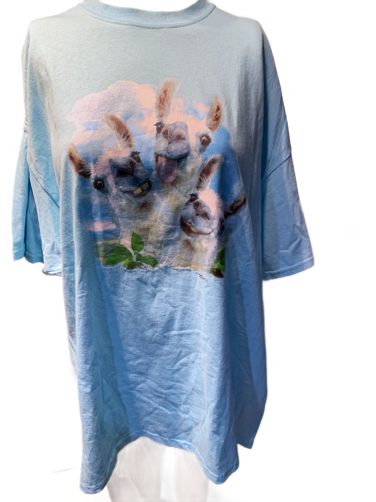 Llama Selfie Adult Sky