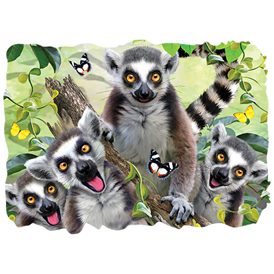 Lemur Selfie Adult