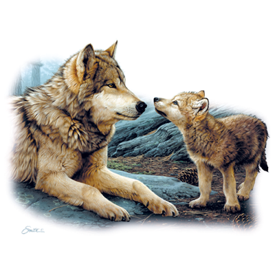 Brother Wolf Youth