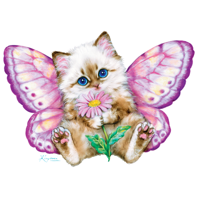 Butterfly Toddler