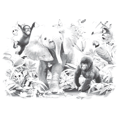 Junior Jungle Toddler
