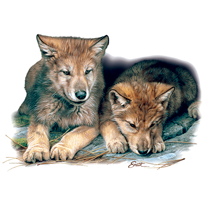 Wolf Cubs Toddler