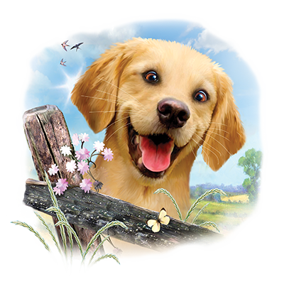 Golden Retriever Toddler (2T)