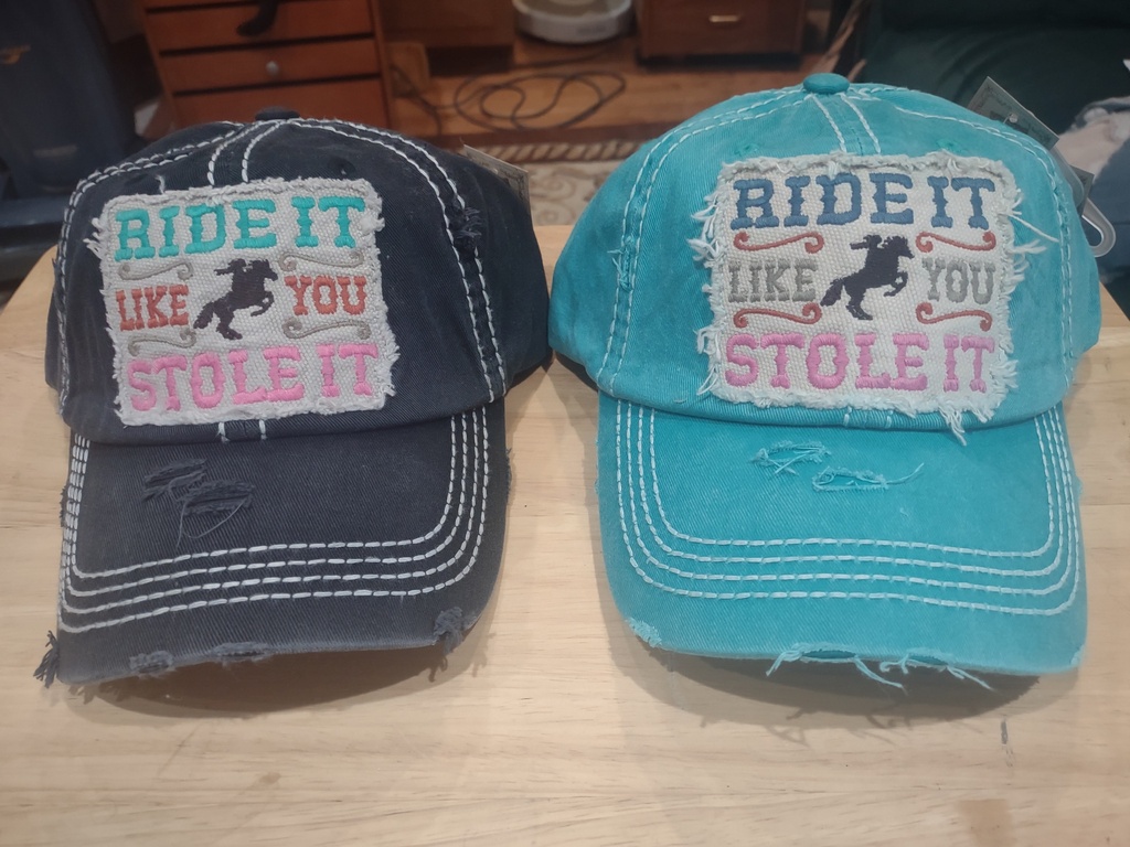  Ride It Like You Stole It 