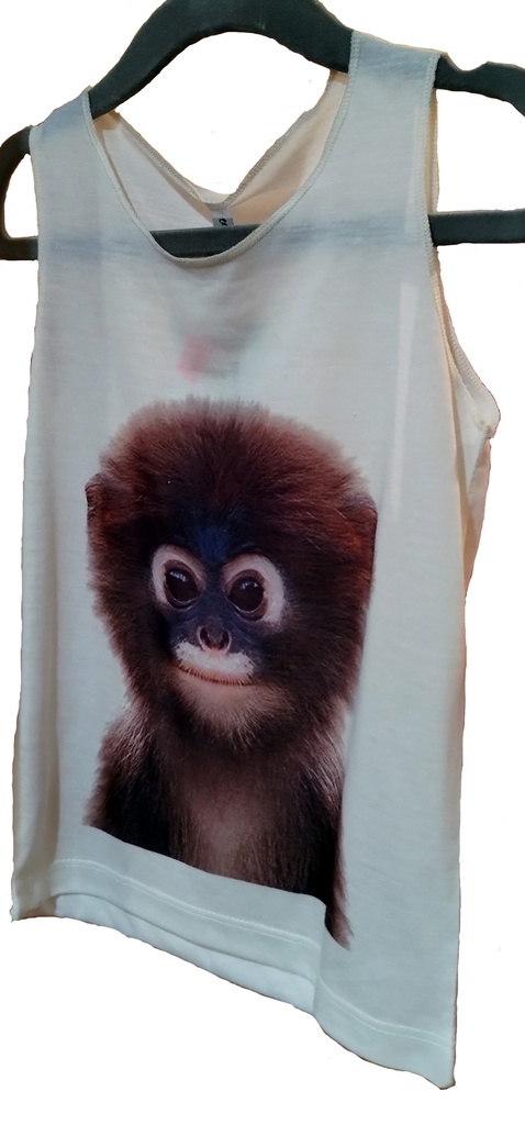  Baby Monkey 