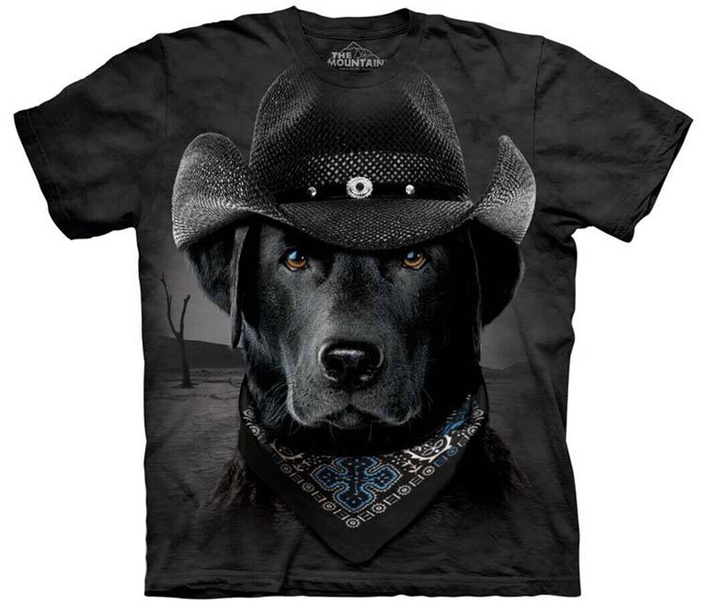 Cowboy Lab