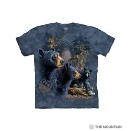  Find Bears 