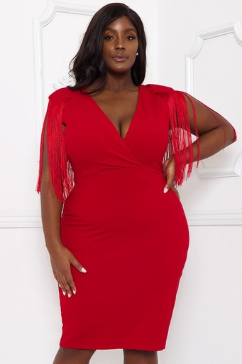 Fringe Sleeve Dress 