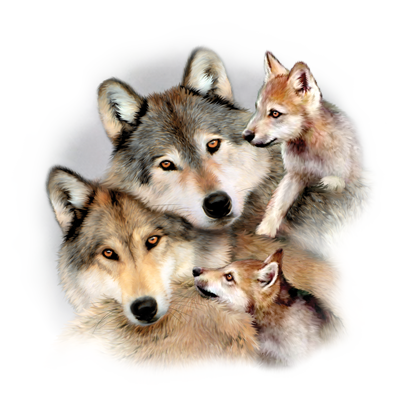 Wolf Harmony