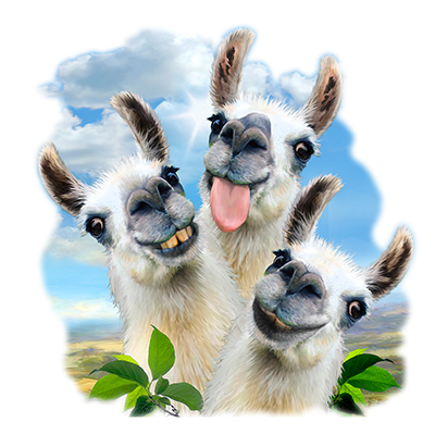 Llama Selfie Adult Sky