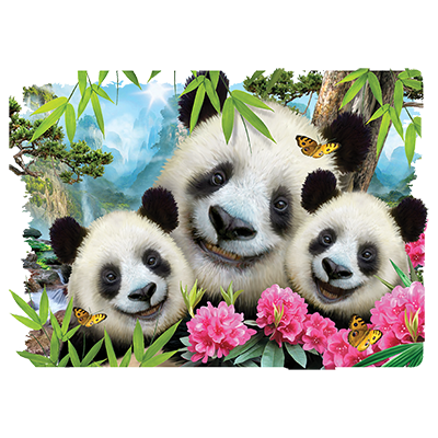 Panda Selfie Adult