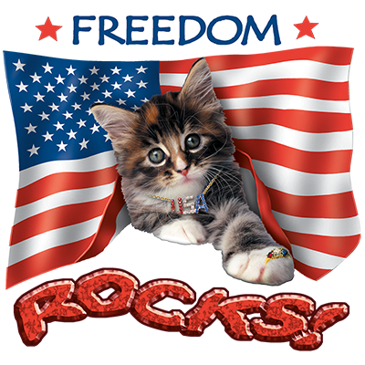 Freedom Rocks Toddler T-Shirt